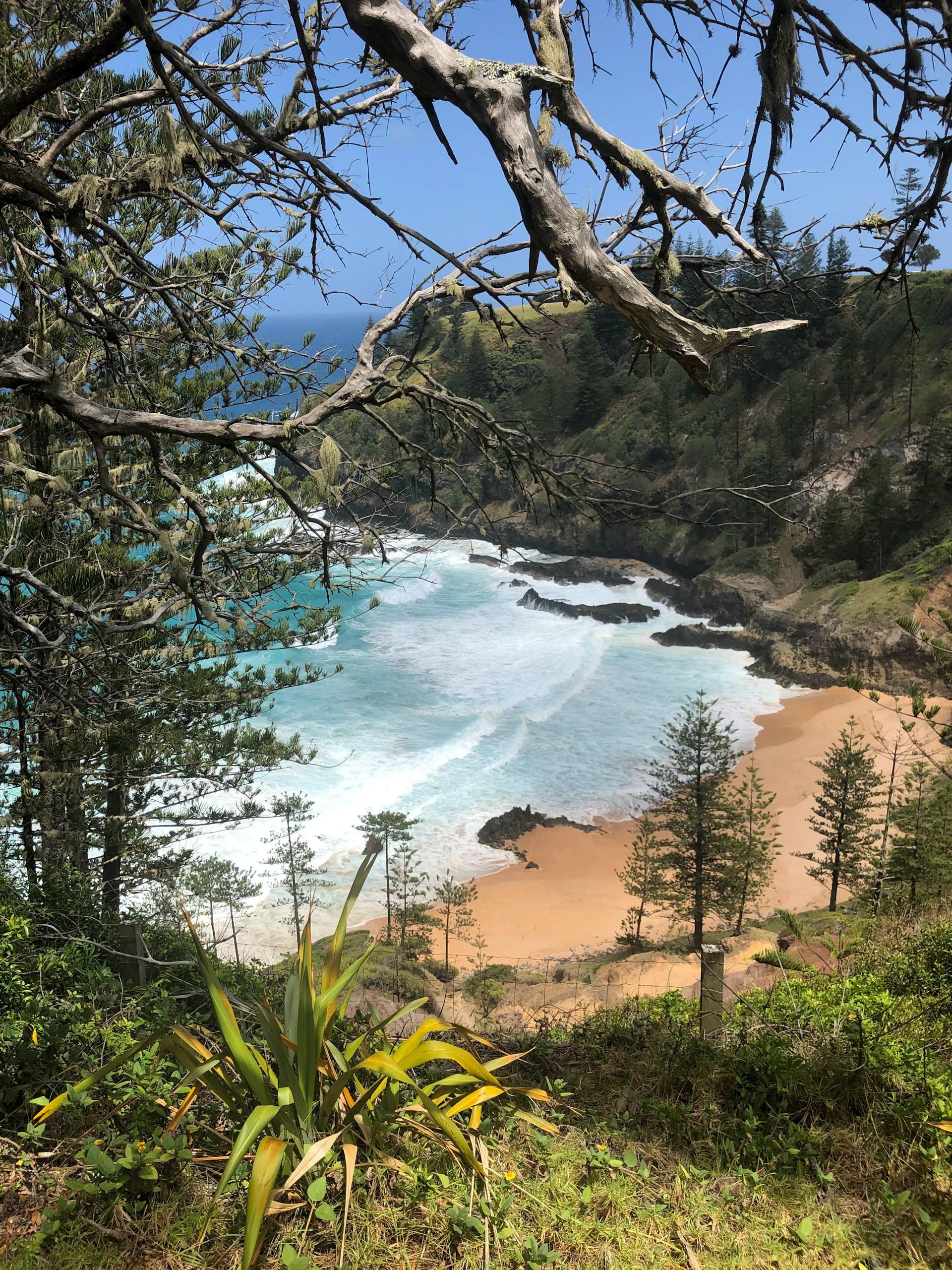 Norfolk Island Beach